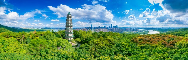 软考网工必备，网络工程师历年真题和视频教程