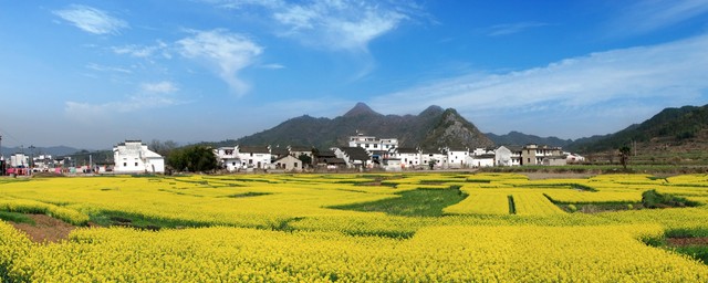幽默顺口溜婚礼主持词(农村幽默搞笑婚礼主持词)