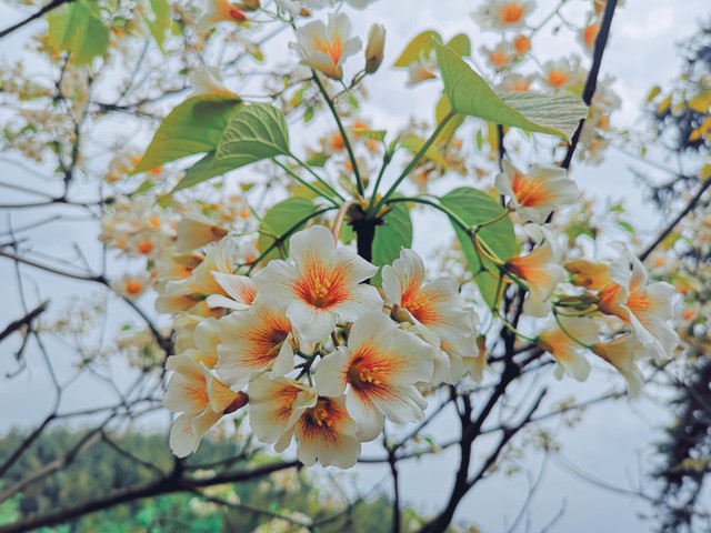 戒烟的第7天(开始戒烟第一天到第七天的表现)