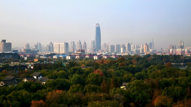 从韩国网购到杭州的多肉植物为什么被截留？海关发布提醒