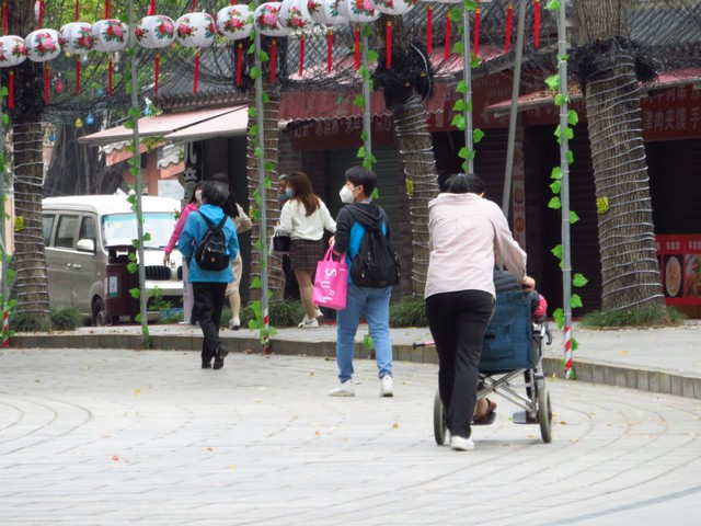 党参,陈皮,茯苓泡水一起作用(陈皮山药茯苓党参一起泡的功效)