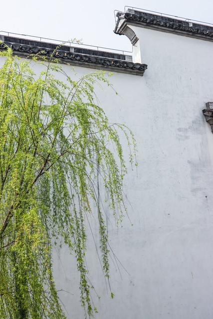 夏季养生: 4个技巧让你轻松祛湿、健脾、清热!(秋季到来如何祛暑湿?试试煲这个清热除燥的靓汤)