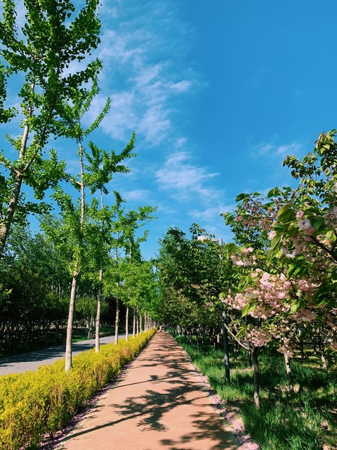 海鲜意面的家常做法(大叔家的秋季食谱：海鲜意面，香气扑鼻，简单易做，家人爱吃)