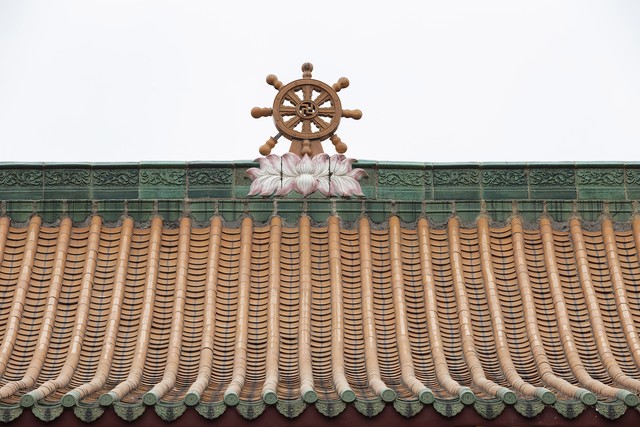 中国茶叶分为几大类各自有哪些特点及名品(中国茶叶的种类很多比如)