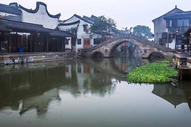 第一次养狗注意什么(第一次养狗应该注意什么)