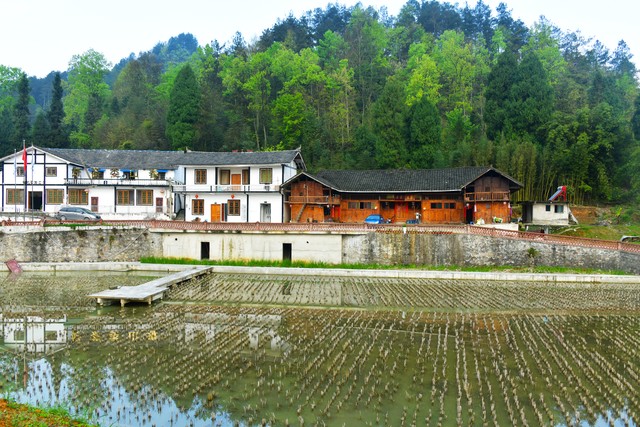 马蹄镇中心学校高质量教育发展工作方案