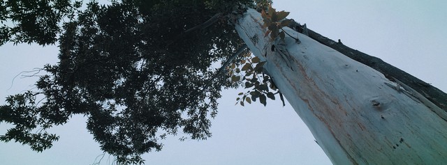 美白护肤品小红书(美白超有效的护肤品)